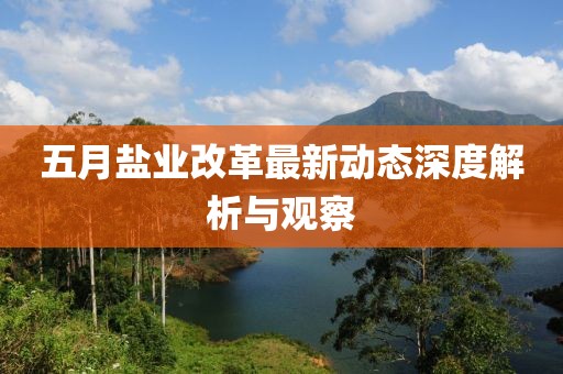 五月盐业改革最新动态深度解析与观察