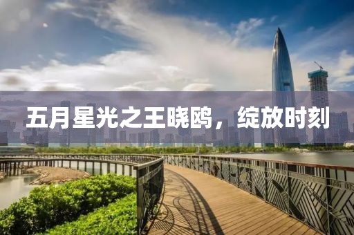 五月星光之王晓鸥，绽放时刻