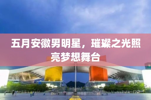 五月安徽男明星，璀璨之光照亮梦想舞台