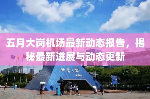 五月大岗机场最新动态报告，揭秘最新进展与动态更新