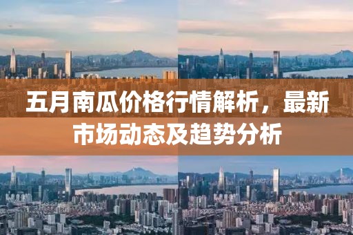 五月南瓜价格行情解析，最新市场动态及趋势分析