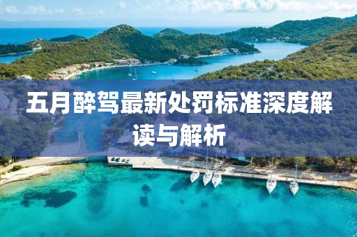 五月醉驾最新处罚标准深度解读与解析