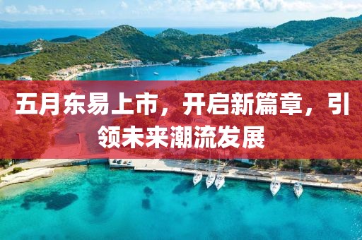 五月东易上市，开启新篇章，引领未来潮流发展