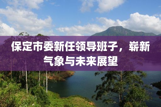保定市委新任领导班子，崭新气象与未来展望