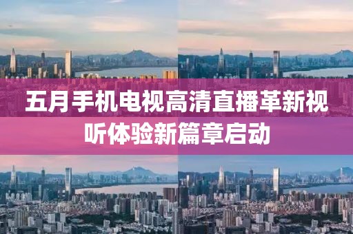 2025年5月12日 第5页