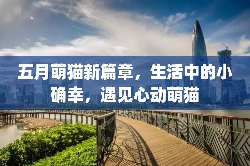 五月萌猫新篇章，生活中的小确幸，遇见心动萌猫