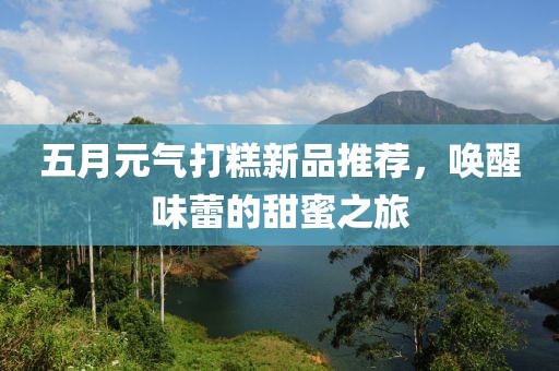 五月元气打糕新品推荐，唤醒味蕾的甜蜜之旅