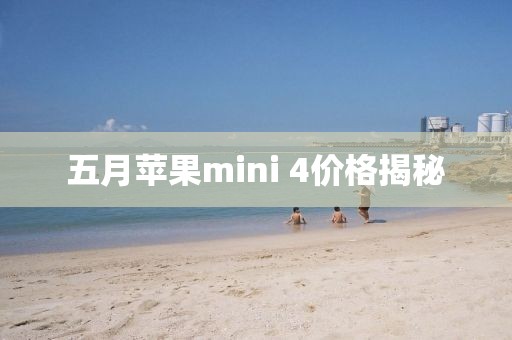 五月苹果mini 4价格揭秘