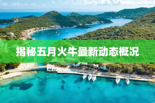 揭秘五月火牛最新动态概况