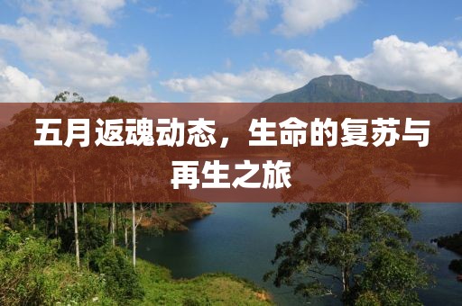 五月返魂动态，生命的复苏与再生之旅