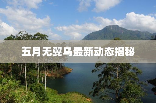 五月无翼乌最新动态揭秘