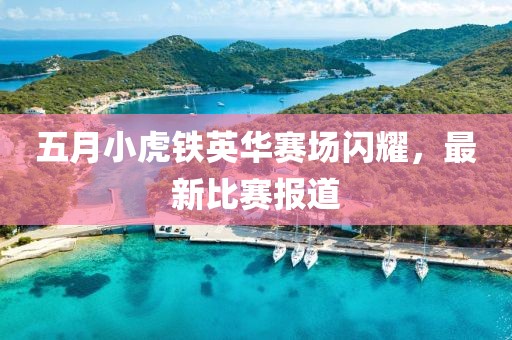 五月小虎铁英华赛场闪耀，最新比赛报道