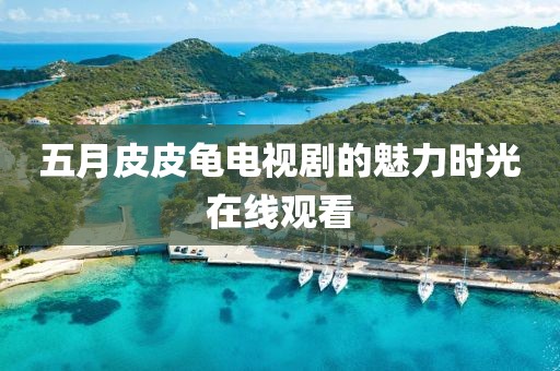 五月皮皮龟电视剧的魅力时光在线观看