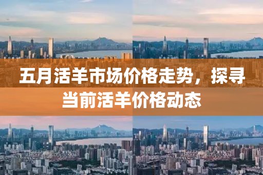 五月活羊市场价格走势，探寻当前活羊价格动态