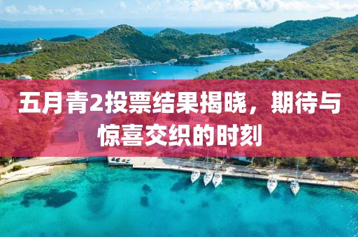 五月青2投票结果揭晓，期待与惊喜交织的时刻