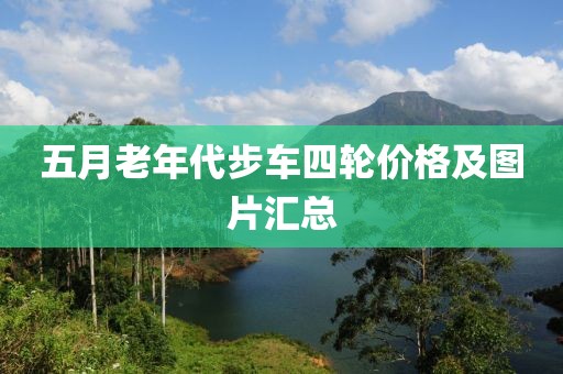 五月老年代步车四轮价格及图片汇总