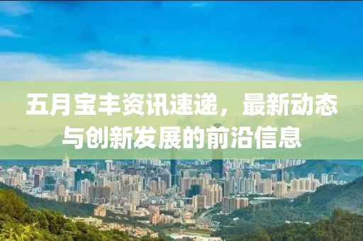 五月宝丰资讯速递，最新动态与创新发展的前沿信息