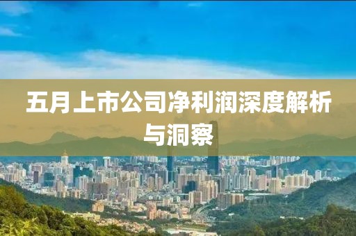 五月上市公司净利润深度解析与洞察