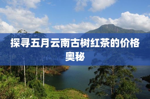 探寻五月云南古树红茶的价格奥秘
