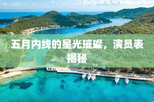 五月内线的星光璀璨，演员表揭秘
