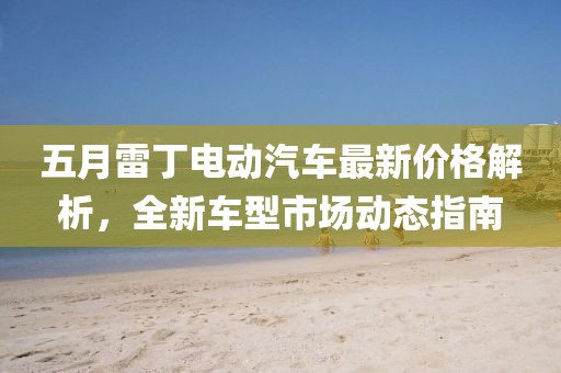 五月雷丁电动汽车最新价格解析，全新车型市场动态指南