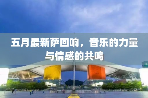 五月最新萨回响，音乐的力量与情感的共鸣