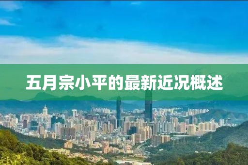 五月宗小平的最新近况概述