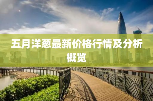 五月洋葱最新价格行情及分析概览