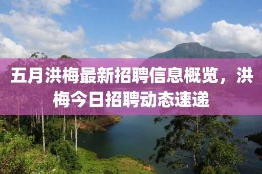 五月洪梅最新招聘信息概览，洪梅今日招聘动态速递
