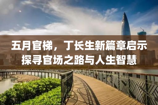 五月官梯，丁长生新篇章启示探寻官场之路与人生智慧