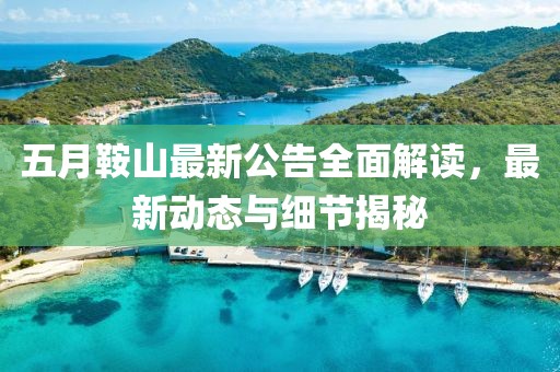 五月鞍山最新公告全面解读，最新动态与细节揭秘