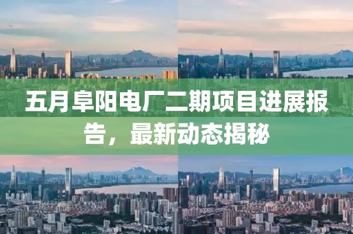 五月阜阳电厂二期项目进展报告，最新动态揭秘