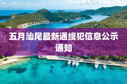 五月汕尾最新通缉犯信息公示通知