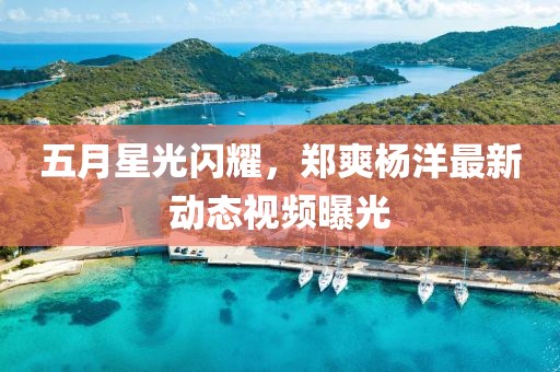 五月星光闪耀，郑爽杨洋最新动态视频曝光