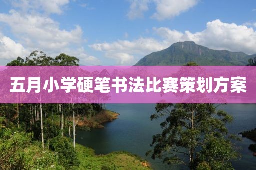 五月小学硬笔书法比赛策划方案