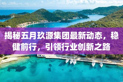 揭秘五月玖源集团最新动态，稳健前行，引领行业创新之路