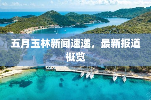 五月玉林新闻速递，最新报道概览