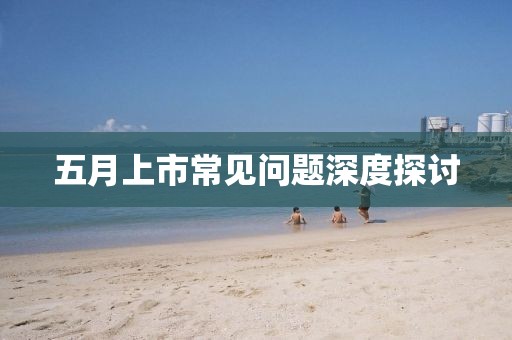 五月上市常见问题深度探讨