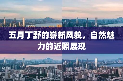 五月丁野的崭新风貌，自然魅力的近照展现