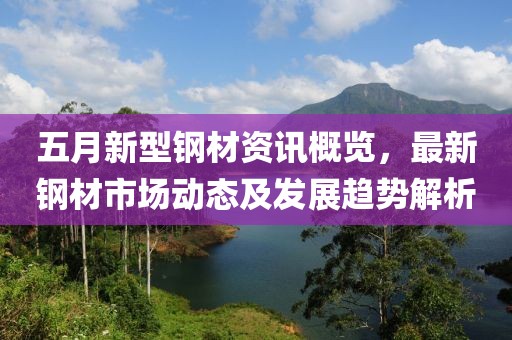 五月新型钢材资讯概览，最新钢材市场动态及发展趋势解析