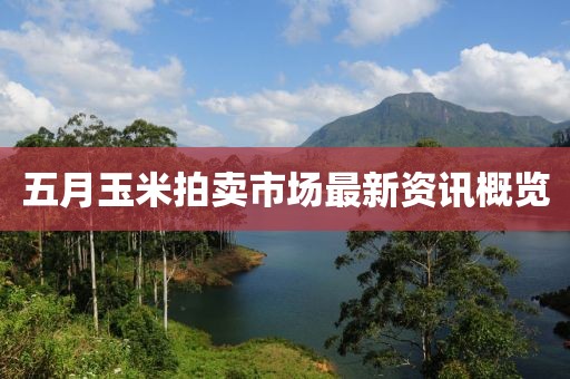 五月玉米拍卖市场最新资讯概览