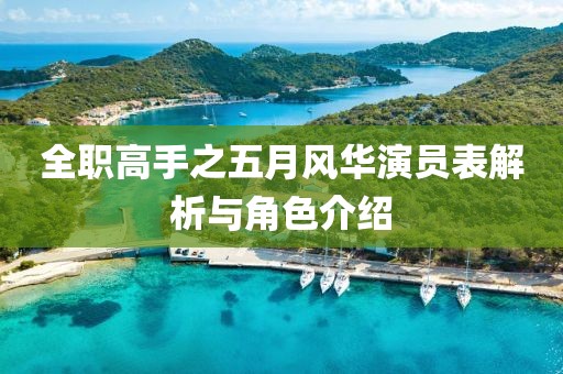 全职高手之五月风华演员表解析与角色介绍