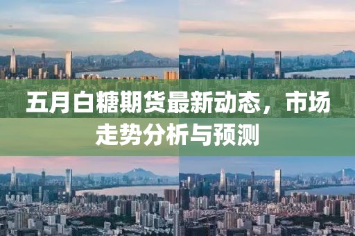 五月白糖期货最新动态，市场走势分析与预测