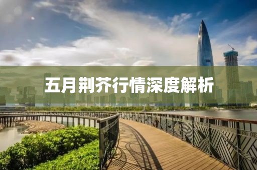 五月荆芥行情深度解析