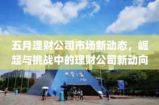 五月理财公司市场新动态，崛起与挑战中的理财公司新动向