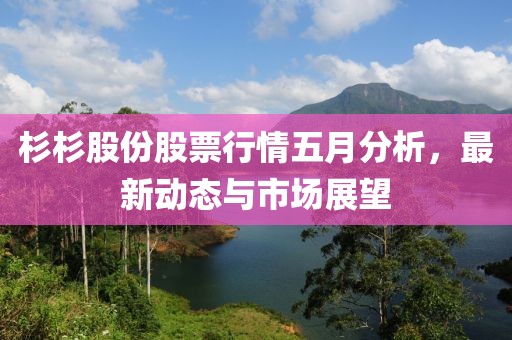 杉杉股份股票行情五月分析，最新动态与市场展望