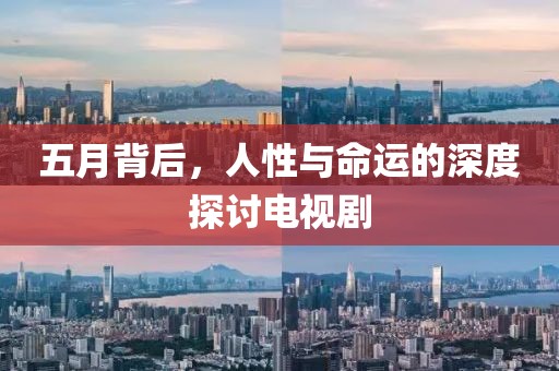 五月背后，人性与命运的深度探讨电视剧