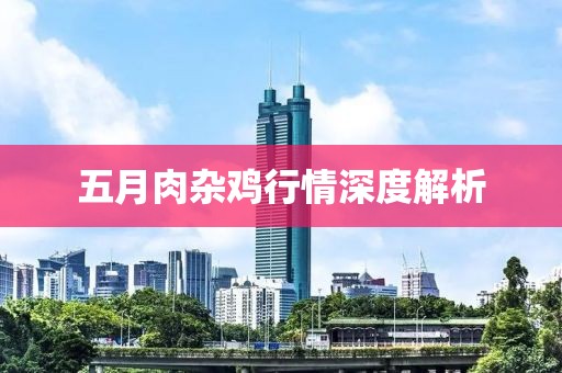 五月肉杂鸡行情深度解析