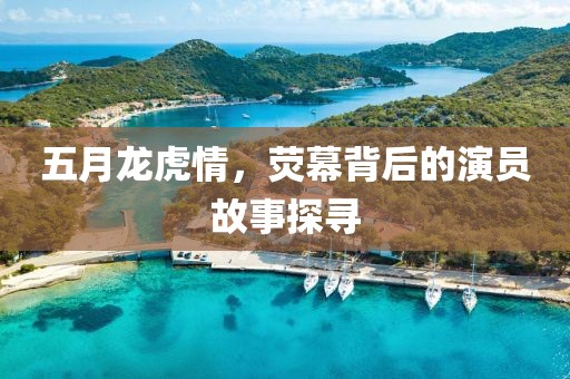 五月龙虎情，荧幕背后的演员故事探寻