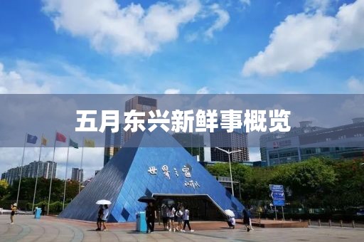 五月东兴新鲜事概览